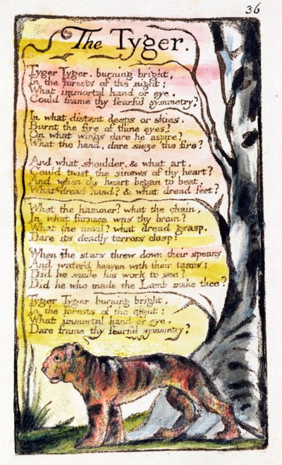 „The Tyger”, 36. lemez (Bentley 42) a „Songs of Innocence and of Experience”-ből (Bentley Copy L) 1789-94 (domborműves rézkarc tollal és WC-vel) alkotó: William Blake